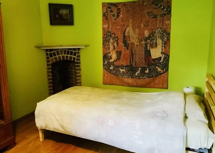 Le Chateau De Balmoral 招待所 萨尔特-雷斯温泉